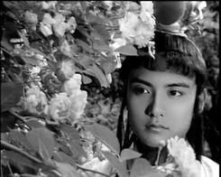 马天宇版红楼梦演员表,众星云集，演绎经典名著新篇章