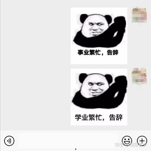 修图 表情包,趣味横生的视觉盛宴